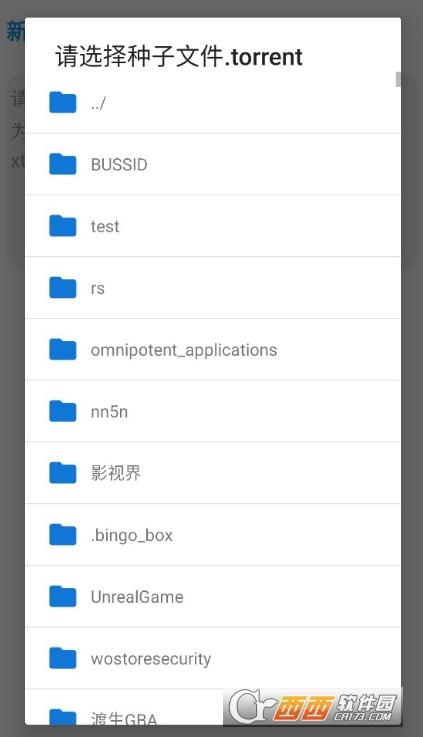 bt磁力搜索器,c标,bt种子.
